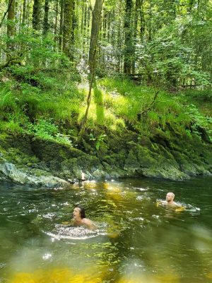 Cothi River Swim Spot